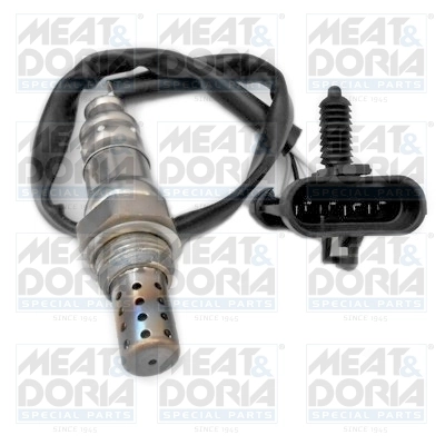 Oxygen Sensor